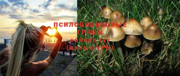 бутират Богородск