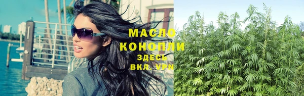 стаф Богданович