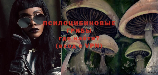 ALPHA PVP Бородино