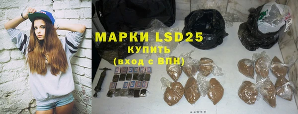 стаф Богданович